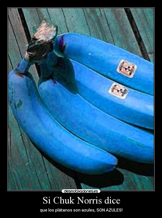Si Chuk Norris dice - que los plátanos son azules, SON AZULES!