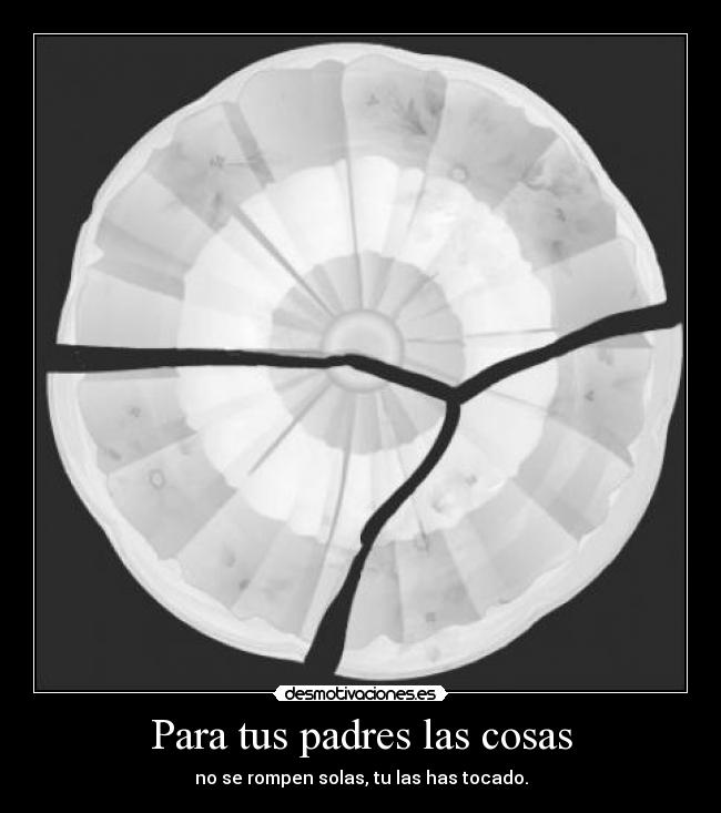 Para tus padres las cosas - no se rompen solas, tu las has tocado.