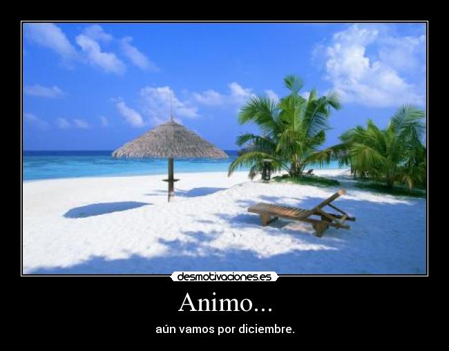 Animo... - 