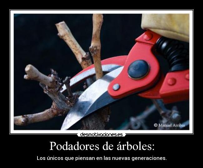 Podadores de árboles: -
