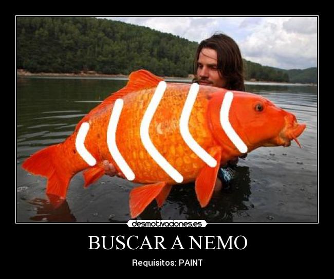 BUSCAR A NEMO - 