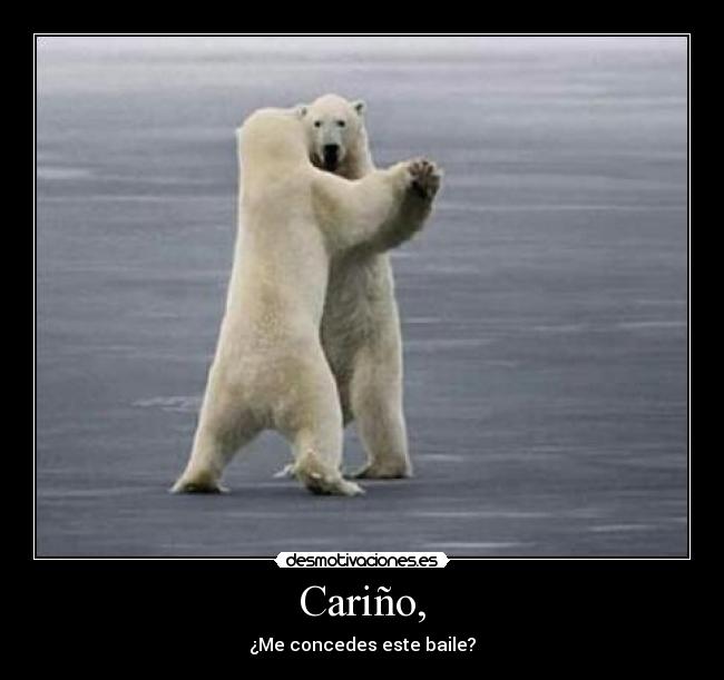 Cariño, -