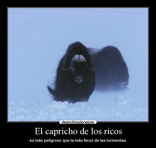 El capricho de los ricos -