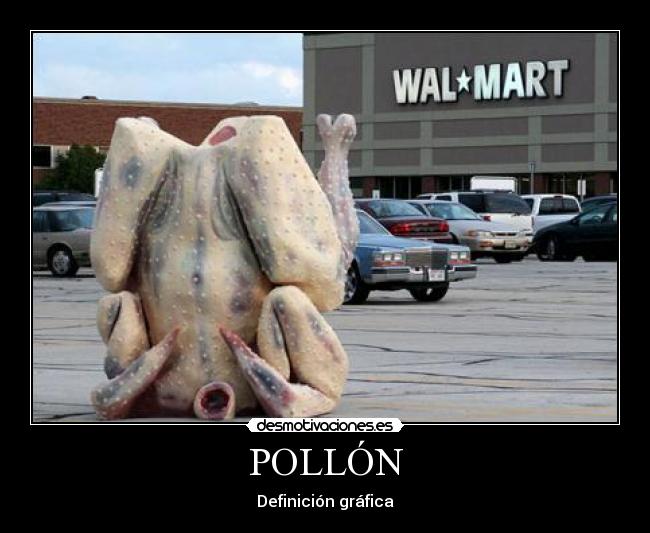 POLLÓN - Definición gráfica