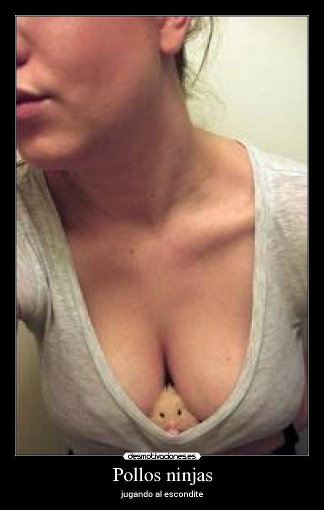 Pollos ninjas - jugando al escondite