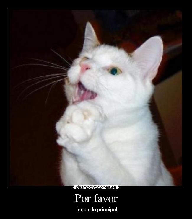 Por favor - llega a la principal