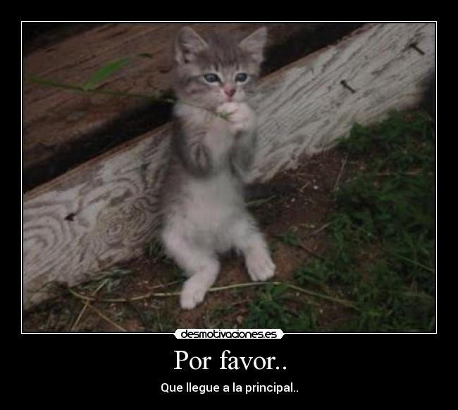 Por favor.. -