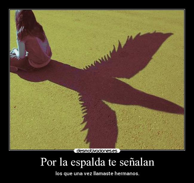 carteles ninasoledadfalsedad desmotivaciones