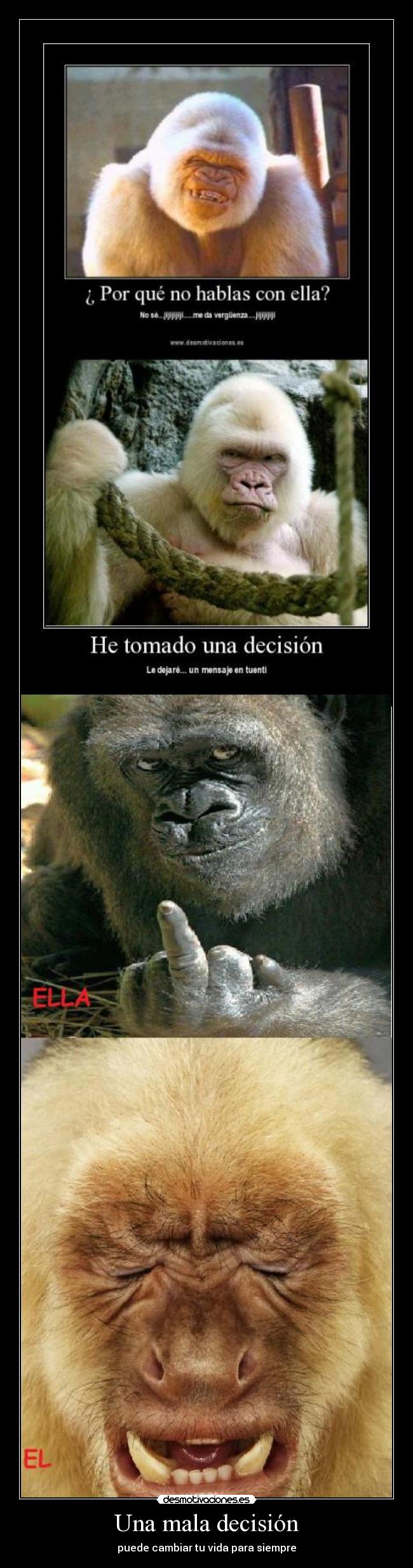 carteles mono chimpance decision desmotivaciones