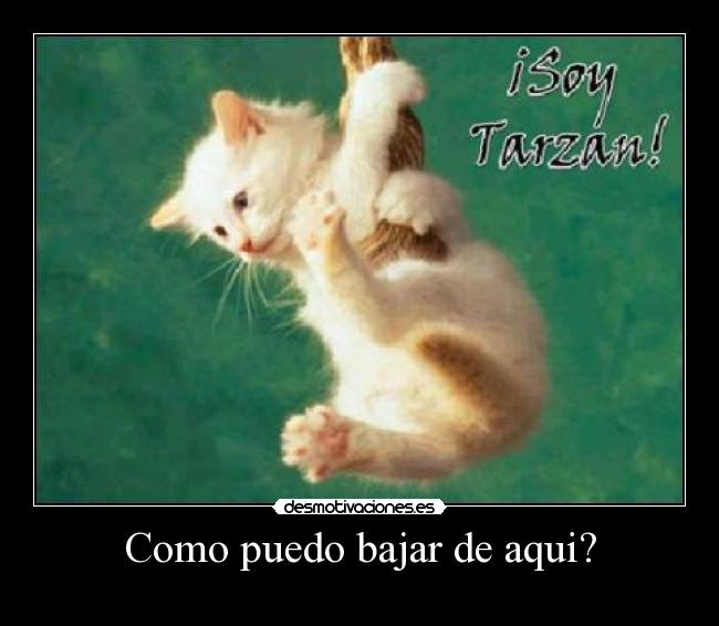 carteles tarzan desmotivaciones