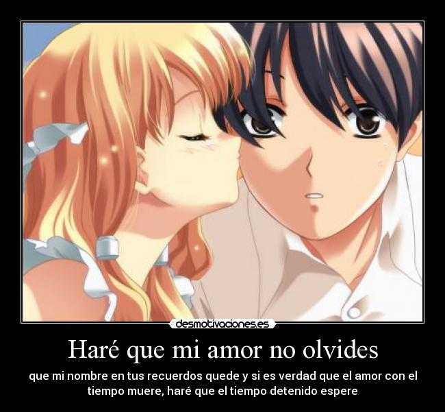 Haré que mi amor no olvides - 