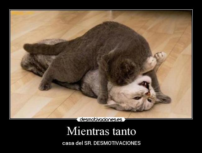 carteles desmotivaciones gatosfollando desmotivaciones