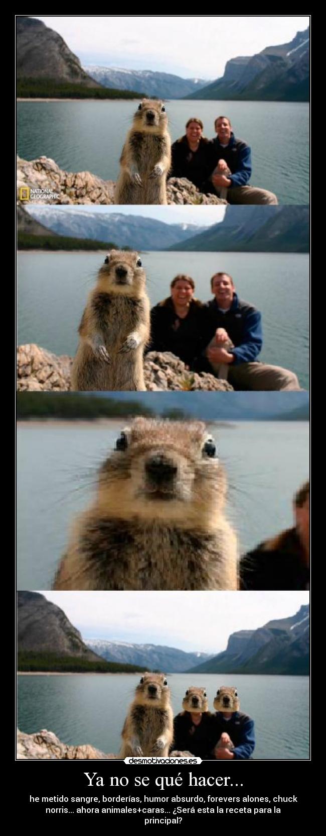 carteles que hacer desmotivaciones