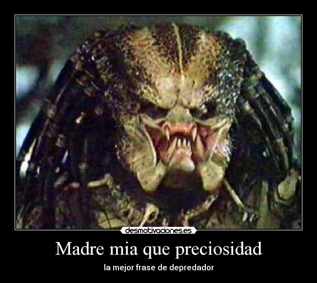 Madre mia que preciosidad - la mejor frase de depredador