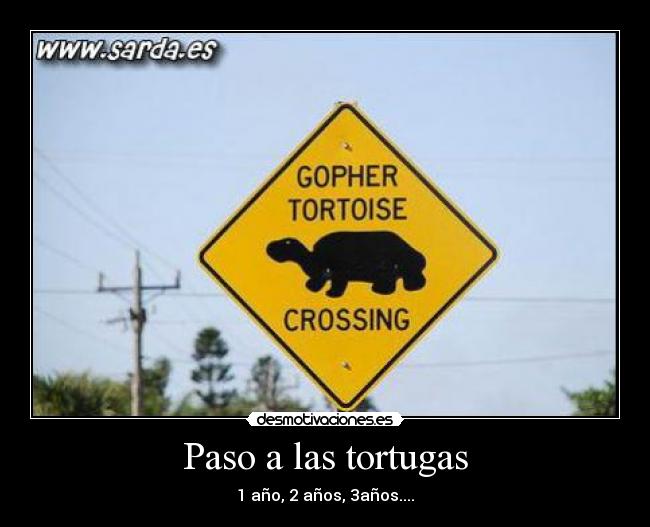 carteles ninguna desmotivaciones