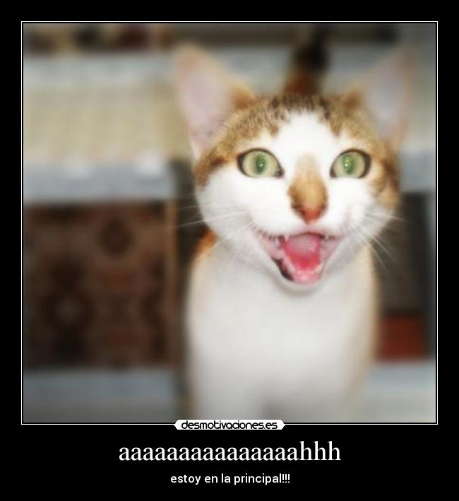 carteles ne desmotivaciones