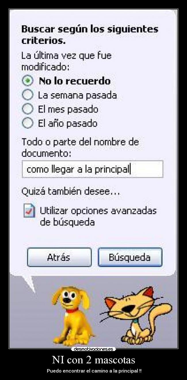NI con 2 mascotas -