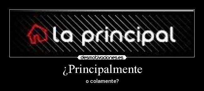 ¿Principalmente - o colamente?