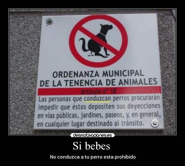 Si bebes - No conduzca a tu perro esta prohibido