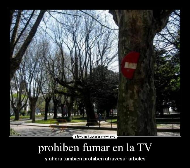 prohiben fumar en la TV - y ahora tambien prohiben atravesar arboles