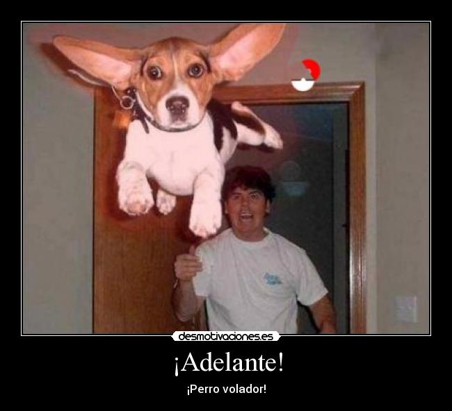 ¡Adelante! - ¡Perro volador!