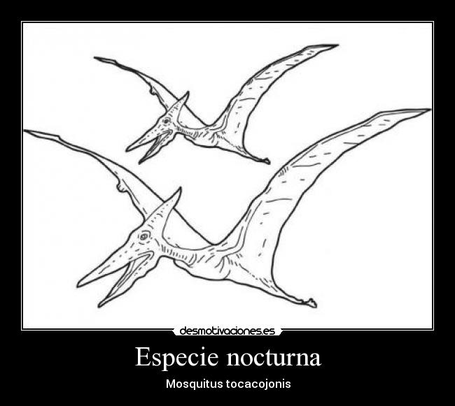 Especie nocturna -