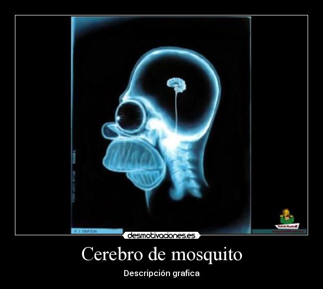 Cerebro de mosquito - 