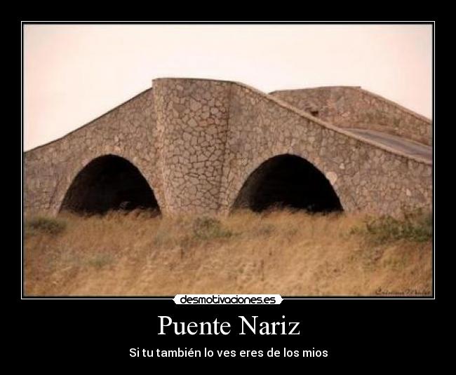 carteles puente nariz desmotivaciones