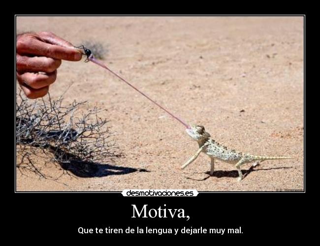 Motiva, - Que te tiren de la lengua y dejarle muy mal.