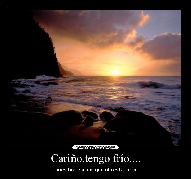 carteles frio carino desmotivaciones