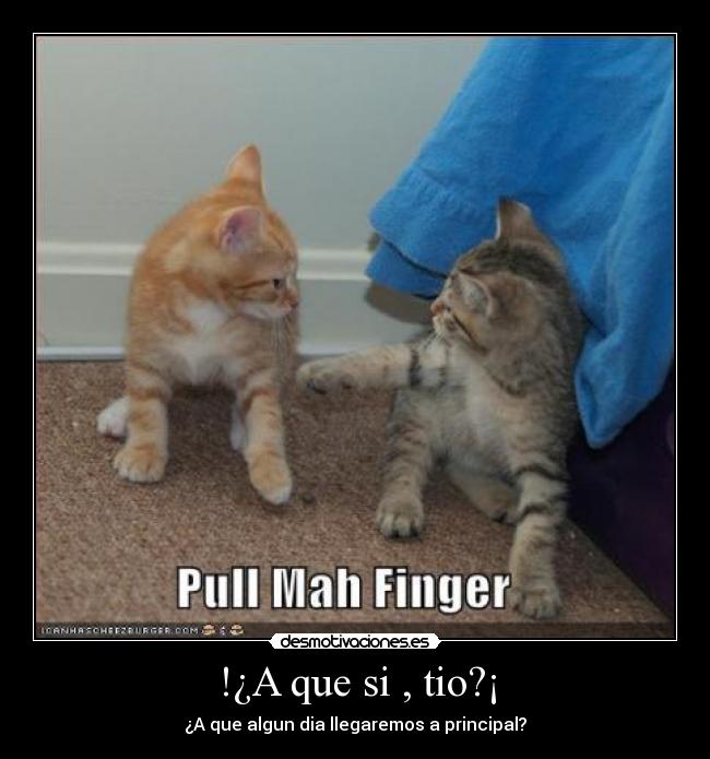 !¿A que si , tio?¡ -