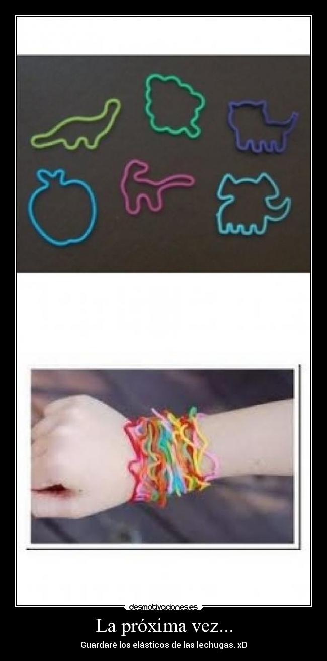 carteles estuuupiidez desmotivaciones