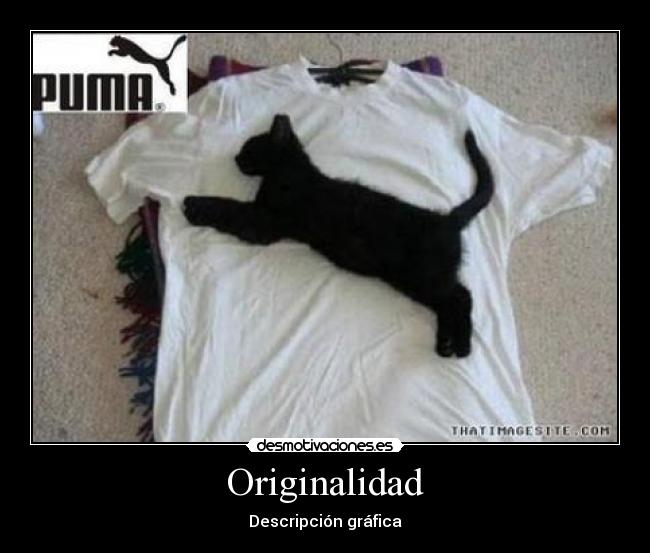 carteles puma gatito originalidad descripcion grafica desmotivaciones