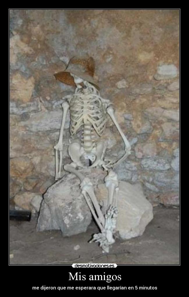 Mis amigos -