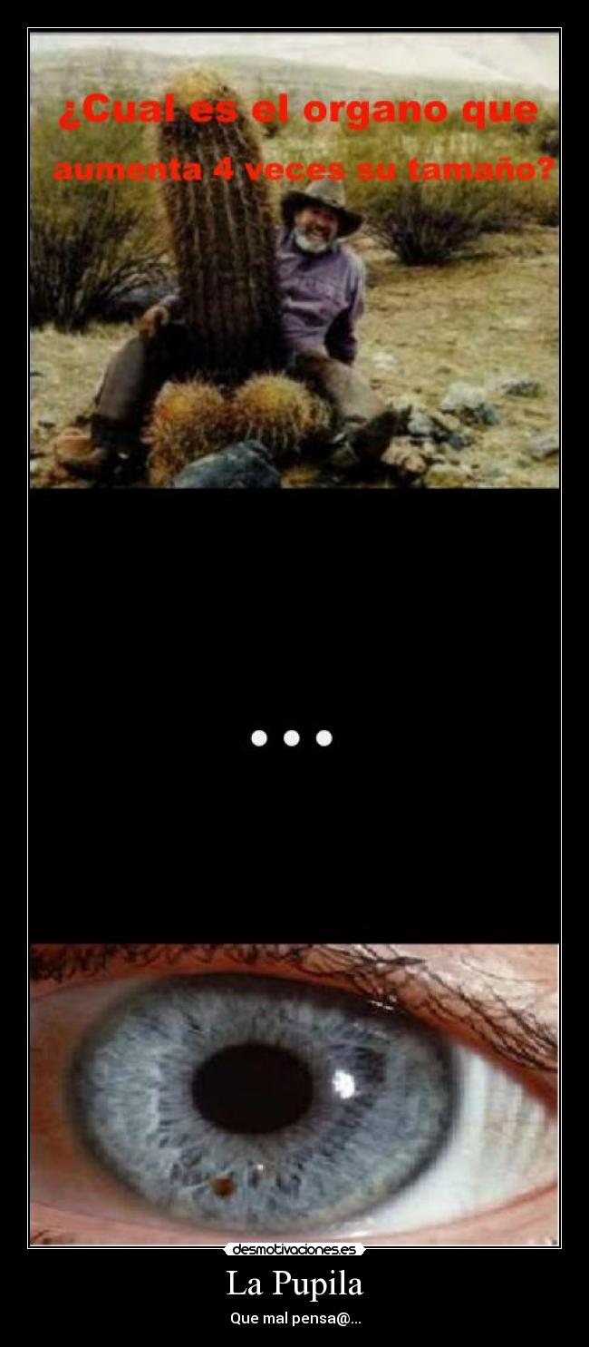 La Pupila - Que mal pensa@...