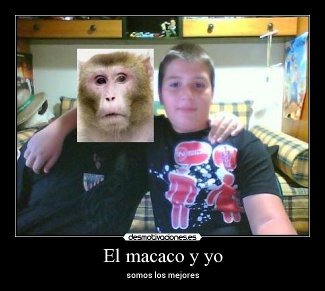 El macaco y yo - 