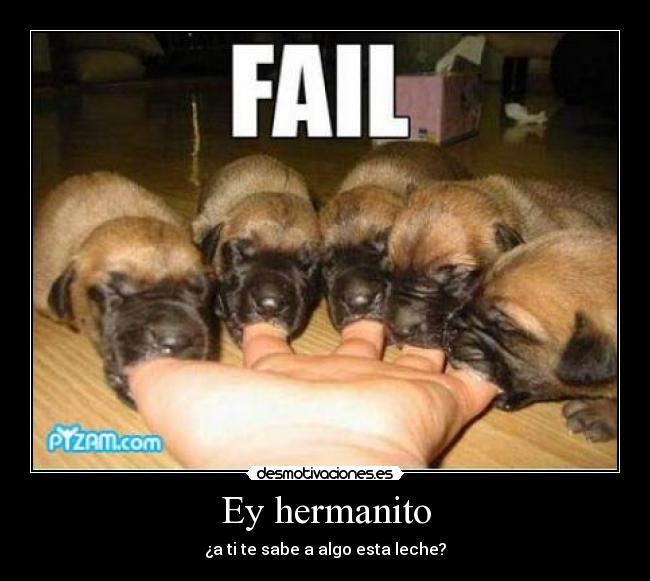 Ey hermanito - ¿a ti te sabe a algo esta leche?