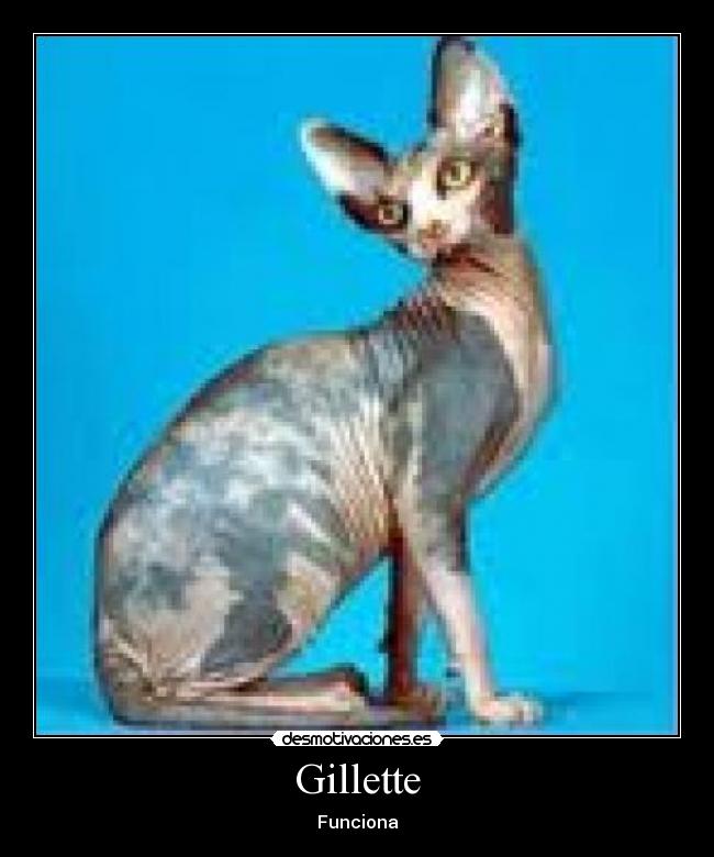 carteles gillette desmotivaciones