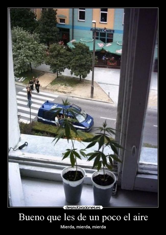 Bueno que les de un poco el aire -