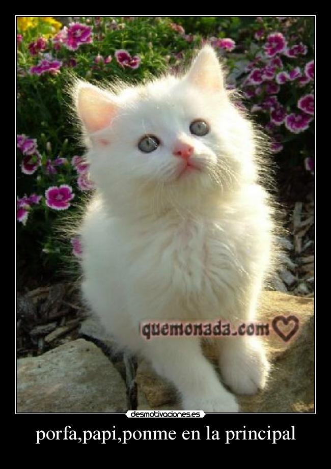 carteles saritisisima desmotivaciones