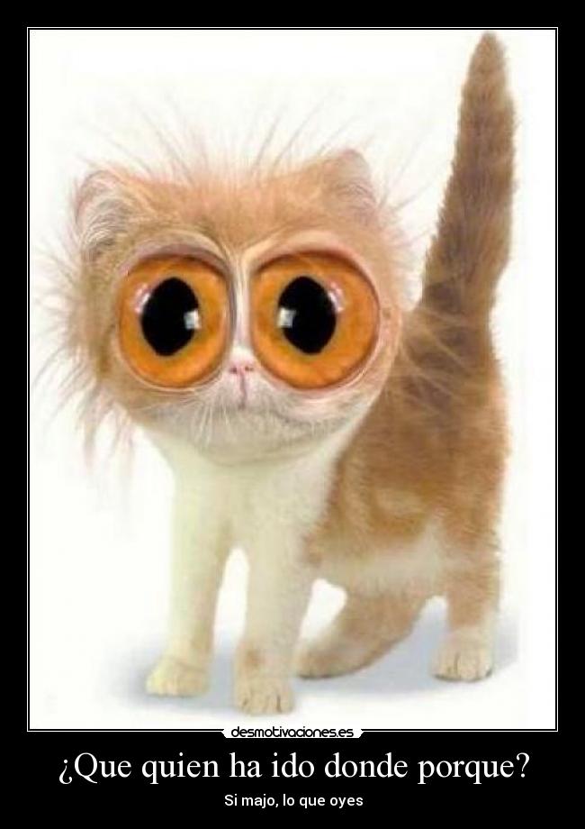 ¿Que quien ha ido donde porque? - Si majo, lo que oyes
