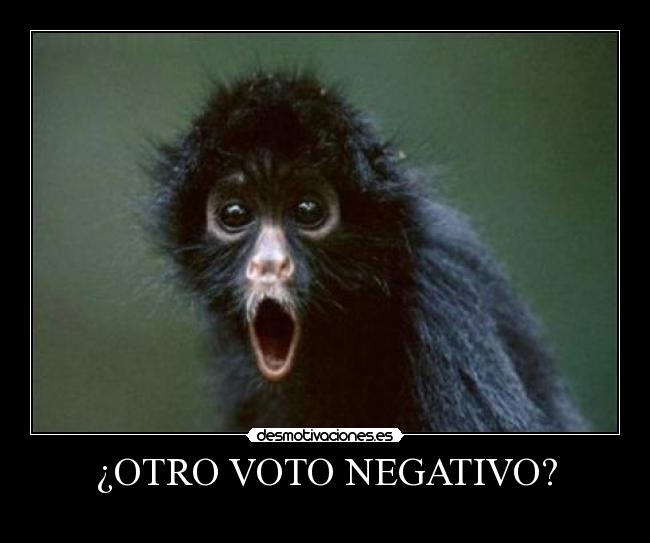 ¿OTRO VOTO NEGATIVO? -
