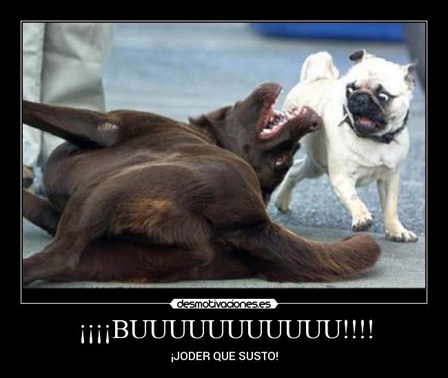 carteles otros desmotivaciones