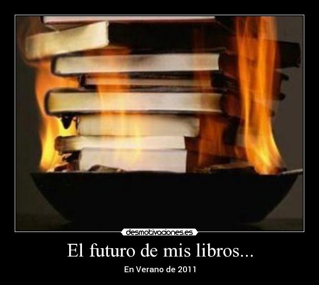 El futuro de mis libros... - En Verano de 2011
