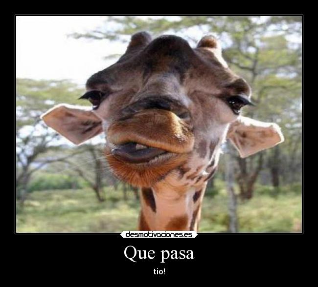 Que pasa - tio!