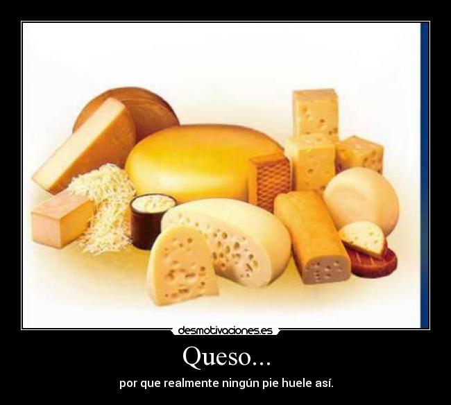Queso... - 