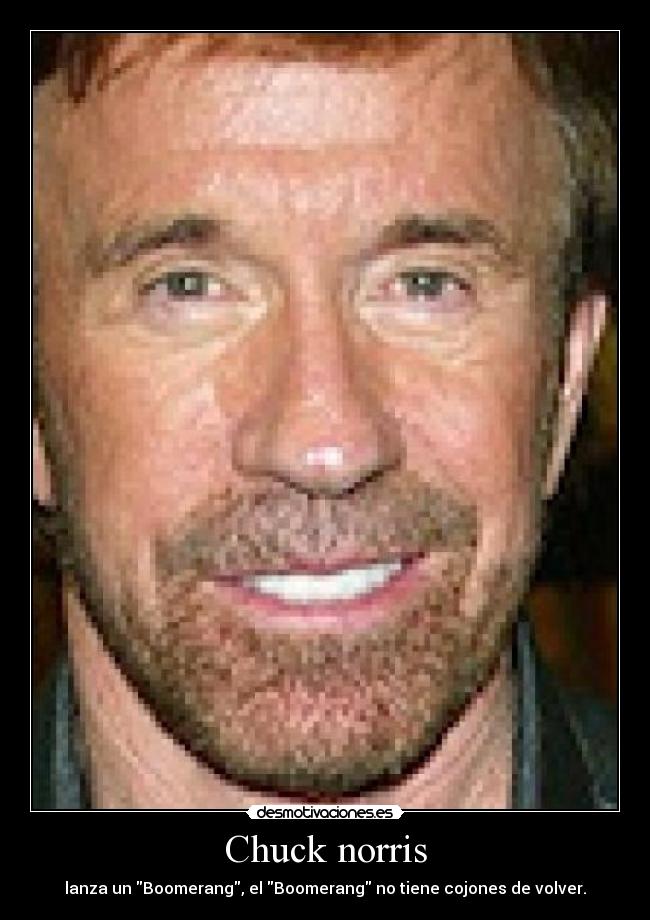 Chuck norris - 