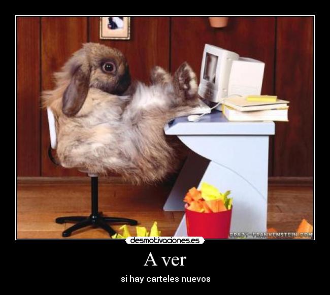 A ver - si hay carteles nuevos