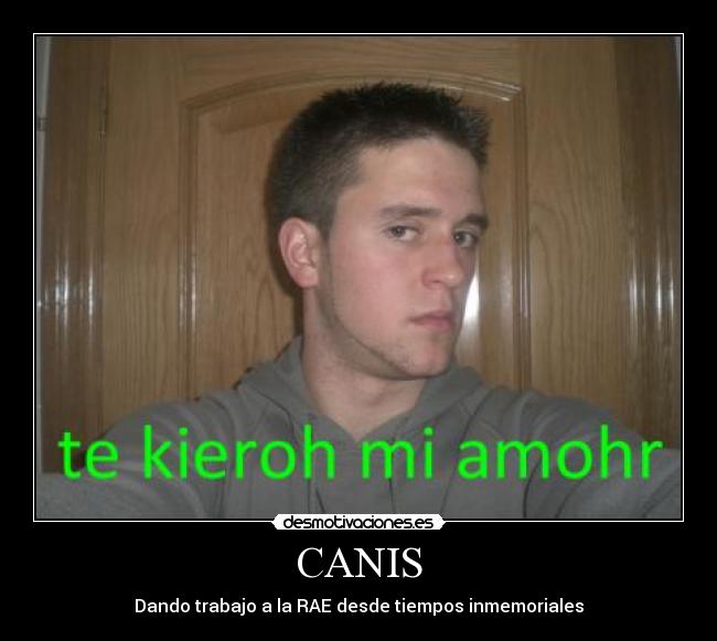CANIS - 