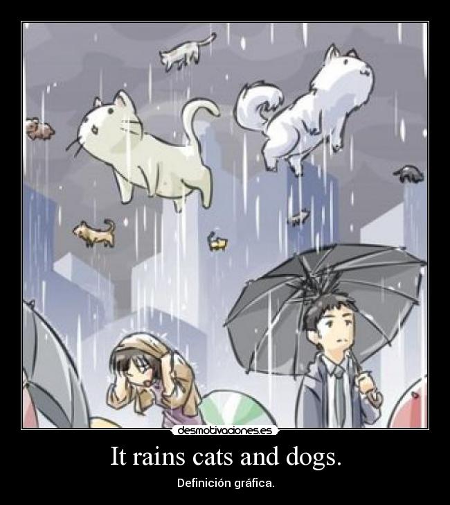It rains cats and dogs. - Definición gráfica.